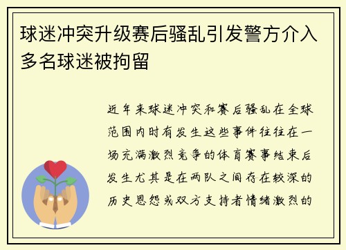 球迷冲突升级赛后骚乱引发警方介入多名球迷被拘留